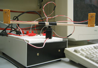 Group 21 Image