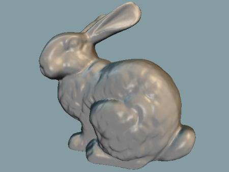 shaded bunny