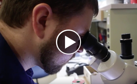 Graduate Student Profile: Branden Ghena