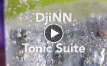 DjiNN and Tonic