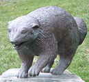 noisy wolverines