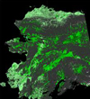 1097.jpg