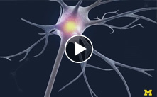 Building computers that mimic the brain